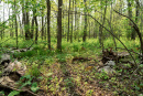 DSC01425.jpg