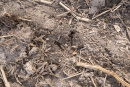 DSC01573.jpg