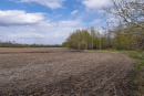 DSC01576.jpg