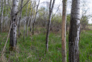 DSC01582_1.jpg