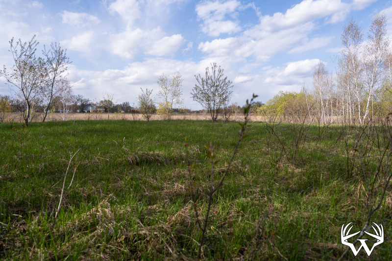 DSC01586_1.jpg