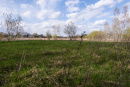 DSC01586.jpg
