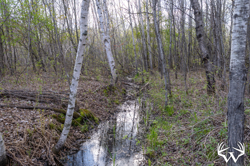 DSC01587_1.jpg