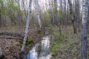 DSC01587.jpg