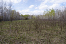 DSC01590.jpg