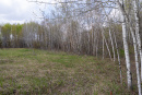 DSC01591_1.jpg