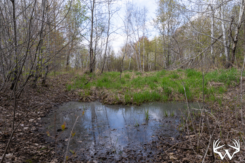 DSC01592_1.jpg