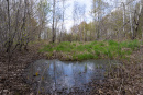 DSC01592.jpg