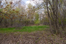 DSC01593.jpg