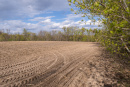 DSC01597.jpg