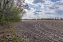 DSC01600.jpg