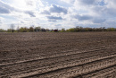 DSC01605.jpg