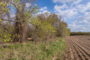 DSC01610.jpg