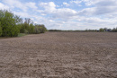 DSC01615.jpg