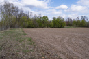 DSC01616.jpg