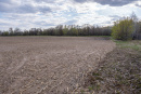 DSC01617.jpg