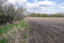 DSC01621.jpg