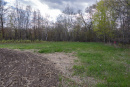 DSC01622.jpg