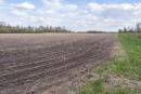 DSC01623.jpg