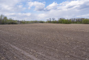 DSC01625.jpg