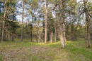 DSC01630.jpg