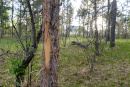 DSC01632.jpg