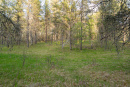 DSC01634.jpg