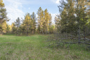 DSC01636.jpg