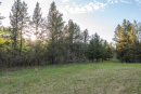 DSC01637.jpg