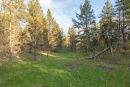 DSC01640.jpg