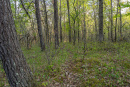 DSC01641.jpg