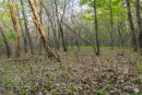 DSC01643.jpg