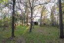 DSC01645.jpg
