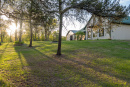 DSC01646.jpg