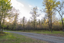 DSC01647.jpg