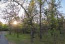 DSC01648.jpg