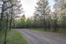 DSC01649.jpg