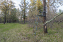 DSC01650.jpg