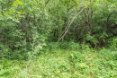 DSC01653.jpg