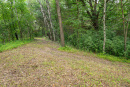 DSC01654.jpg