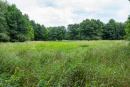 DSC01655.jpg