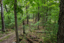 DSC01656.jpg