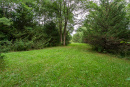 DSC01661.jpg