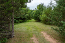 DSC01662.jpg