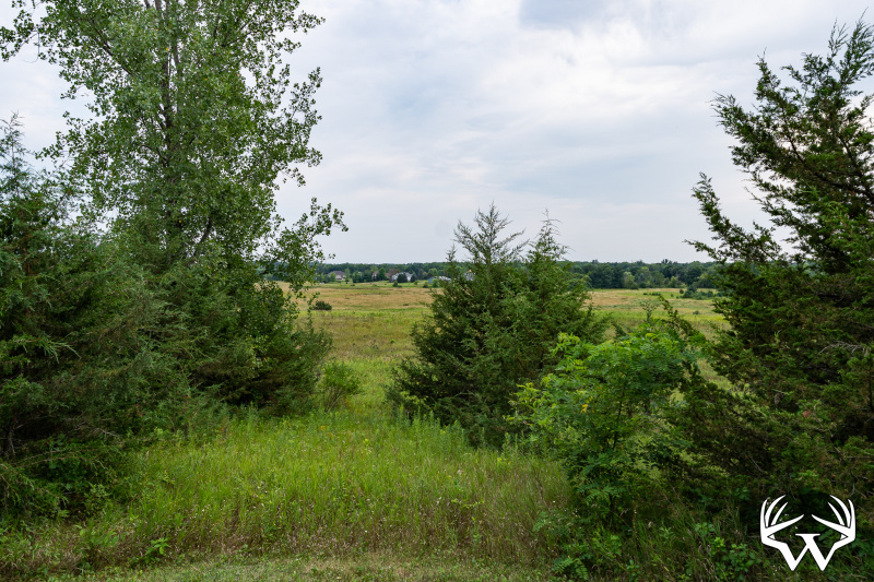 DSC01663.jpg