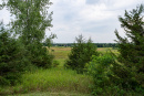 DSC01663.jpg