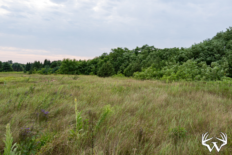 DSC01665.jpg