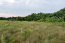 DSC01665.jpg