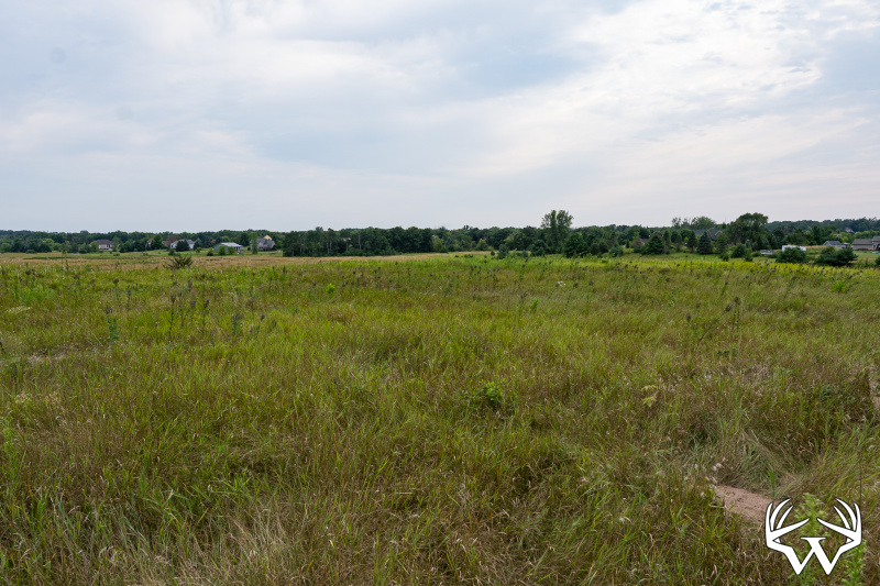 DSC01666.jpg