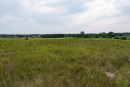 DSC01666.jpg